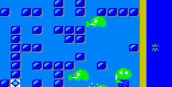 Pengo (1990) GameGear Screenshot