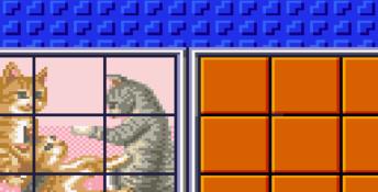 Puzzle And Action Ichidant GameGear Screenshot