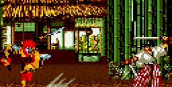 Samurai Shodown GameGear Screenshot