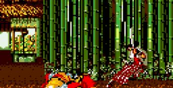 Samurai Shodown GameGear Screenshot