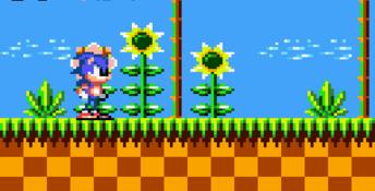 Sonic The Hedgehog GameGear Screenshot