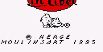 Tintin In Tibet GameGear Screenshot