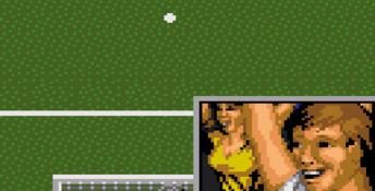 World Cup Usa 94 GameGear Screenshot