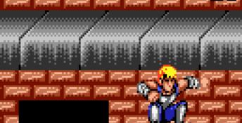 Double Dragon Lynx Screenshot