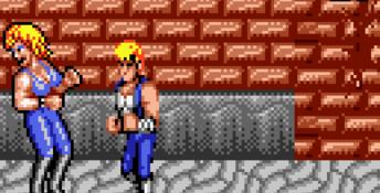 Double Dragon