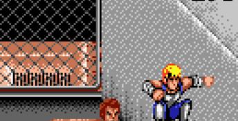 Double Dragon Lynx Screenshot