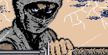 Ninja Gaiden