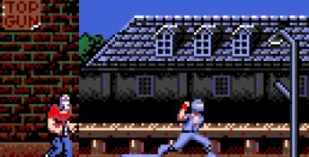 Ninja Gaiden