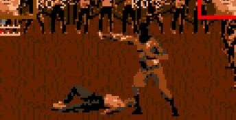Pit Fighter (1992) Lynx Screenshot