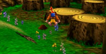 Banjo-Kazooie Nintendo 64 Screenshot