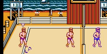 2-in-1 Super Spike V'Ball/Nintendo World Cup NES Screenshot