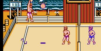2-in-1 Super Spike V'Ball/Nintendo World Cup NES Screenshot