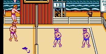 2-in-1 Super Spike V'Ball/Nintendo World Cup NES Screenshot