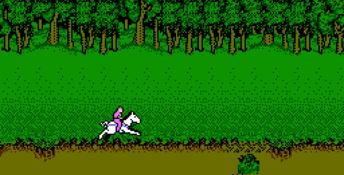 Advanced Dungeons and Dragons: Hillsfar NES Screenshot