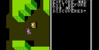 Advanced Dungeons and Dragons: Hillsfar NES Screenshot