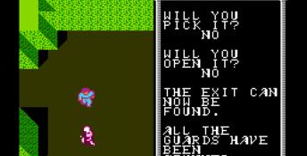 Advanced Dungeons and Dragons: Hillsfar NES Screenshot