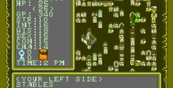 Advanced Dungeons and Dragons: Hillsfar NES Screenshot