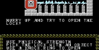 Advanced Dungeons and Dragons: Hillsfar NES Screenshot