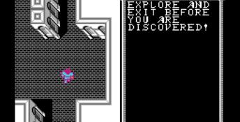 Advanced Dungeons and Dragons: Hillsfar NES Screenshot