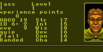 Advanced Dungeons and Dragons: Pool of Radiance