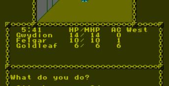 Advanced Dungeons and Dragons: Pool of Radiance NES Screenshot