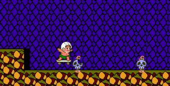 Adventure Island 2 NES Screenshot