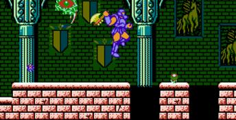 Astyanax NES Screenshot