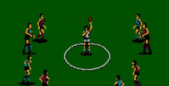 Aussie Rules Footy NES Screenshot