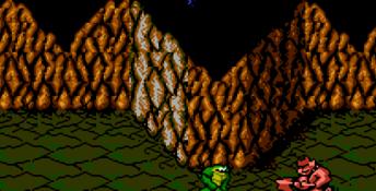 Battletoads NES Screenshot