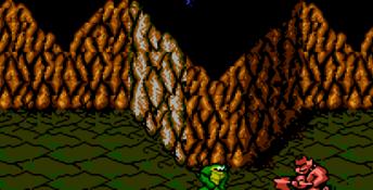 Battletoads NES Screenshot