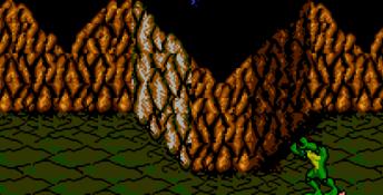 Battletoads NES Screenshot