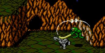 Battletoads NES Screenshot