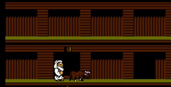 Bible Adventures NES Screenshot