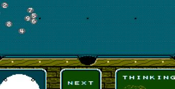 Break Time: The National Pool Tour NES Screenshot