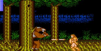 Castle of Dragon NES Screenshot