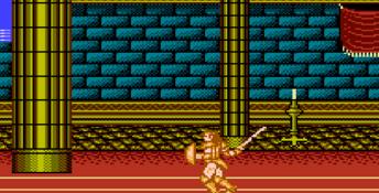 Castle of Dragon NES Screenshot