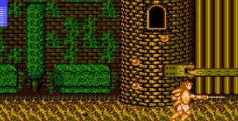 Castle of Dragon NES Screenshot