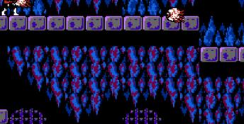 Castlevania 2: Simon's Quest NES Screenshot