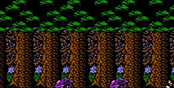 Castlevania 2: Simon's Quest NES Screenshot