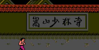 Challenge of the Dragon NES Screenshot