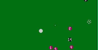 Championship Pool NES Screenshot