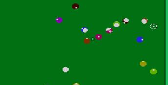 Championship Pool NES Screenshot