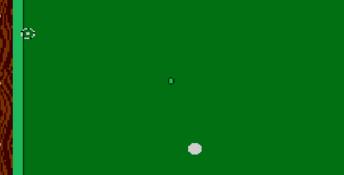 Championship Pool NES Screenshot