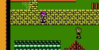 Crystalis NES Screenshot