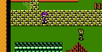 Crystalis NES Screenshot
