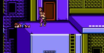 Double Dragon 2: The Revenge NES Screenshot