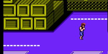 Double Dragon 2: The Revenge NES Screenshot