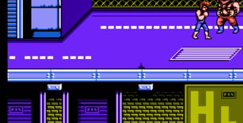Double Dragon 2: The Revenge NES Screenshot
