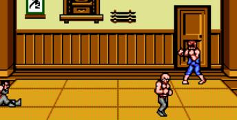 Double Dragon 3: The Sacred Stones NES Screenshot