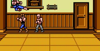 Double Dragon 3: The Sacred Stones NES Screenshot